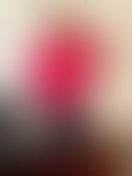 PATRIZIA ANTONINO: NUOVE SPECIALIZZAZIONI IN ATTESA DEGLI APPUNTAMENTI DEL 2026.