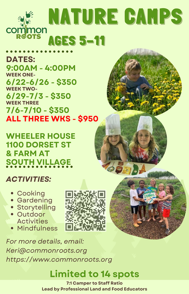 Summer Camp Flyer 2026a.png