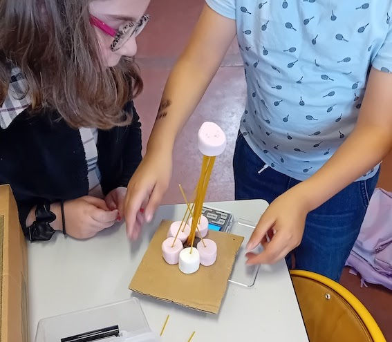 STEM en Bretagne