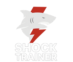 ChatGPT Image Dec 14, 2025, 12_39_21 PM.png