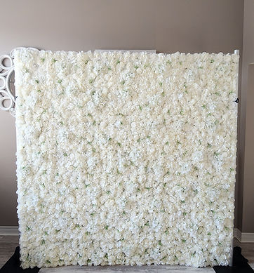 Ivory White Flower Wall 8ft. x 8ft.
