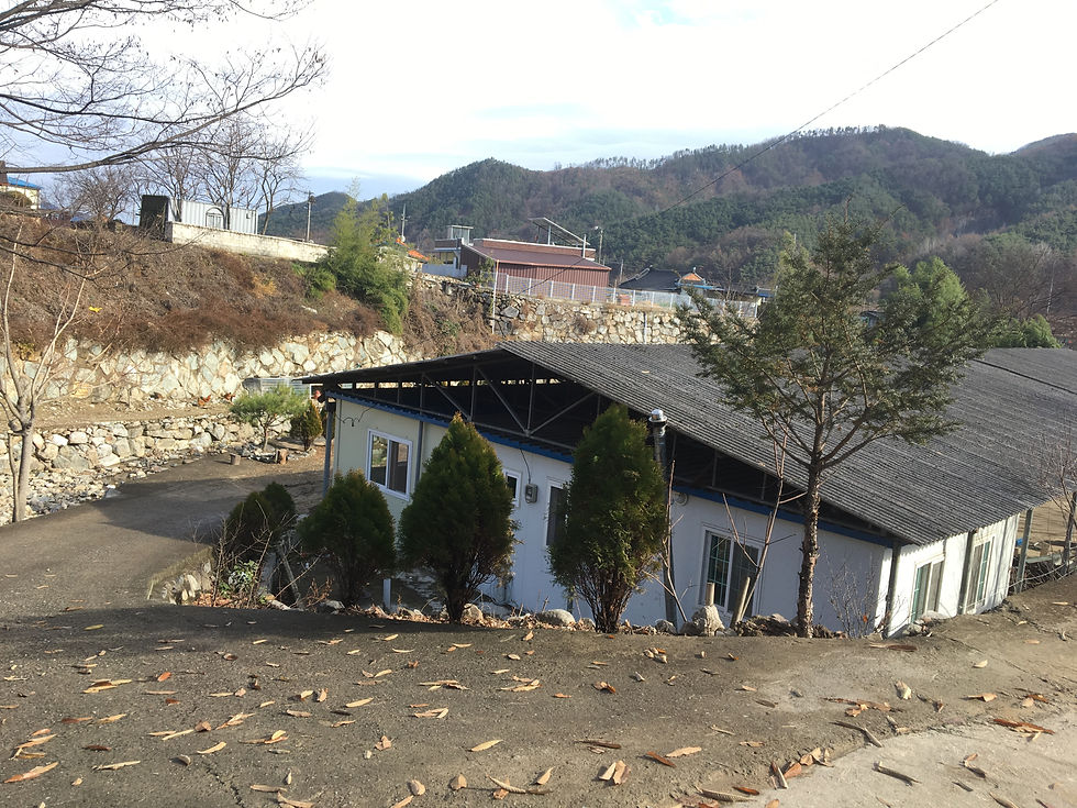 섬네일: #합천 
