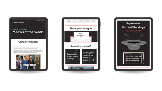 Emails _ Newsletters (2).png