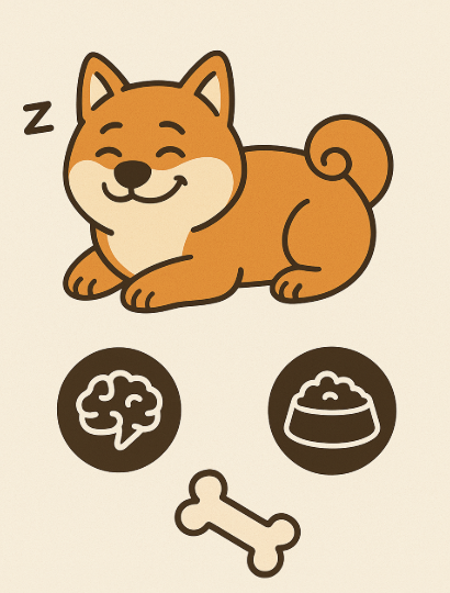 CBN for Dogs: Because Even Fido Deserves a Chill Pill