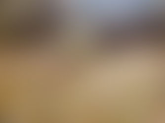 What is Seed Stratification and How Does it Work?