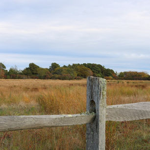 Unveiling the Charms of Nantucket Winters
