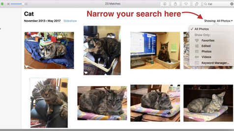 Remember That You Can Search for Nearly Anything in Your Photos Library