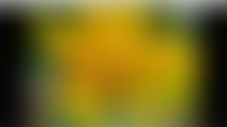 A Quick Shortcut to Create an Instant Slideshow from a Folder of Images