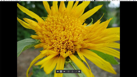A Quick Shortcut to Create an Instant Slideshow from a Folder of Images