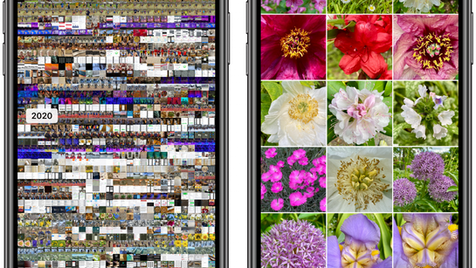 Pinch to Zoom in All Photos View in iOS 14