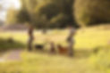 T 'n' T - Training für Charakterköpfe Einzeltraining Hund Passau mobil Boxer Malinois Mini Aussie Hundebegegnung