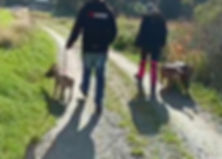 Screenshot_20220104-182231_Gallery_edited.jpg