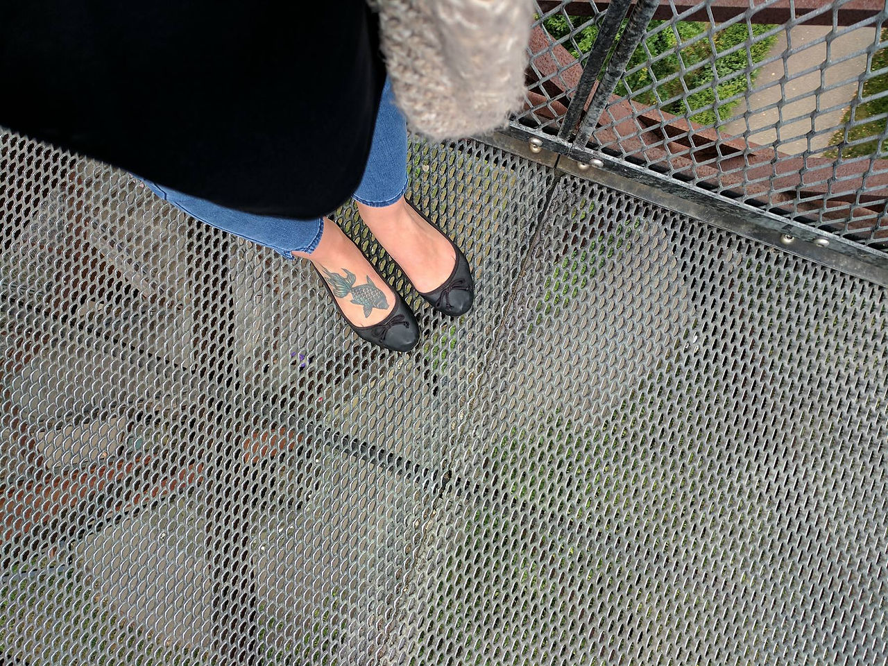 Xstrata Treetop Walkway