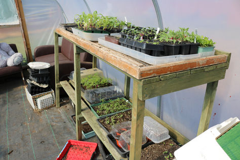 May 2021 at In Harmony Food Revolution