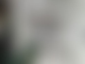 148cafe ランチコースメニューのご紹介