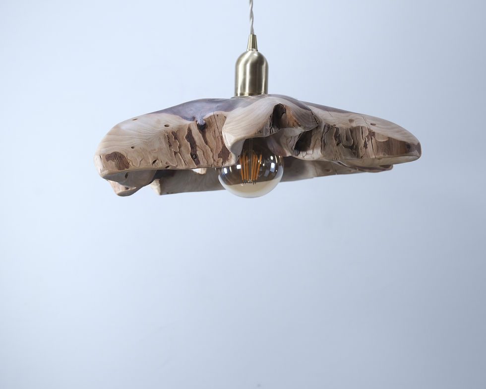 サムネイル： Pendant Lamp｜不言色（いわぬいろ）