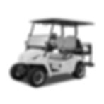 2022 Star Sirius 2+2 Golf Cart for Sale White Diamond Pearl S5522 w/ 105ah Lithium Battery
