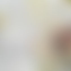 YouTube anniversary. What a year!