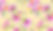 layouts1.jpg