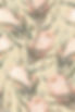 Boho_protea-pattern_021 copy_02.jpg