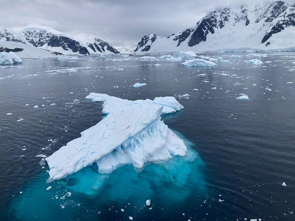 Scattering Ashes in Antarctica: A Journey of Remembrance and Environmental Respect