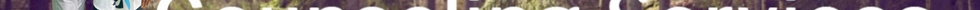IMG_8015.PNG