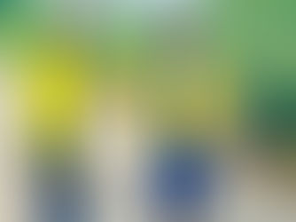 Setting Healthy Boundaries