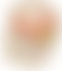 Anatomy of the Brain