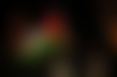 The importance of solidarity