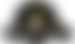 Tell Incumbent Henderson County Commissioners NO to the current Comp Plan. And vote out our incumbent commissioners who would rather sell our county than protect it. 