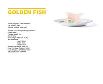 Frozen Pangasius Fillet Untrimmed IQF 100NW 10kg