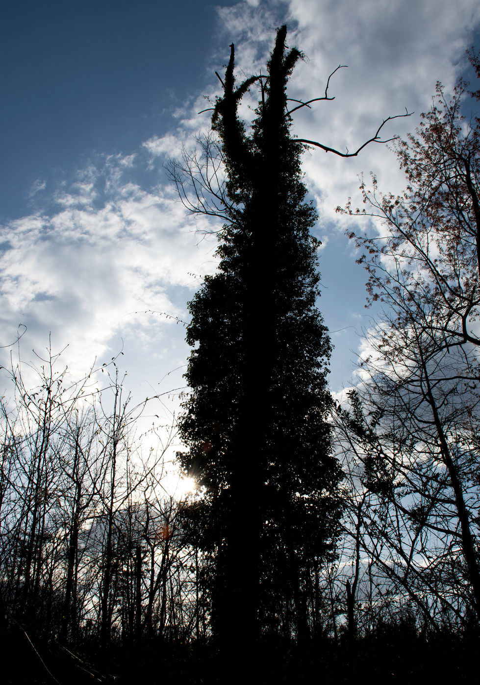 DSC_3246-Edit