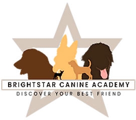 Small-Brightstar-Logo_edited