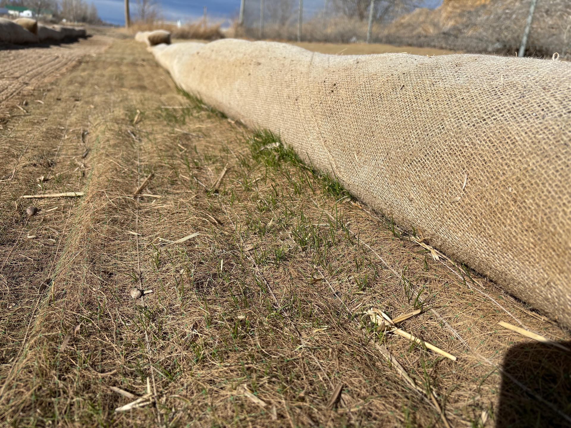 Burlap Straw Wattle 
