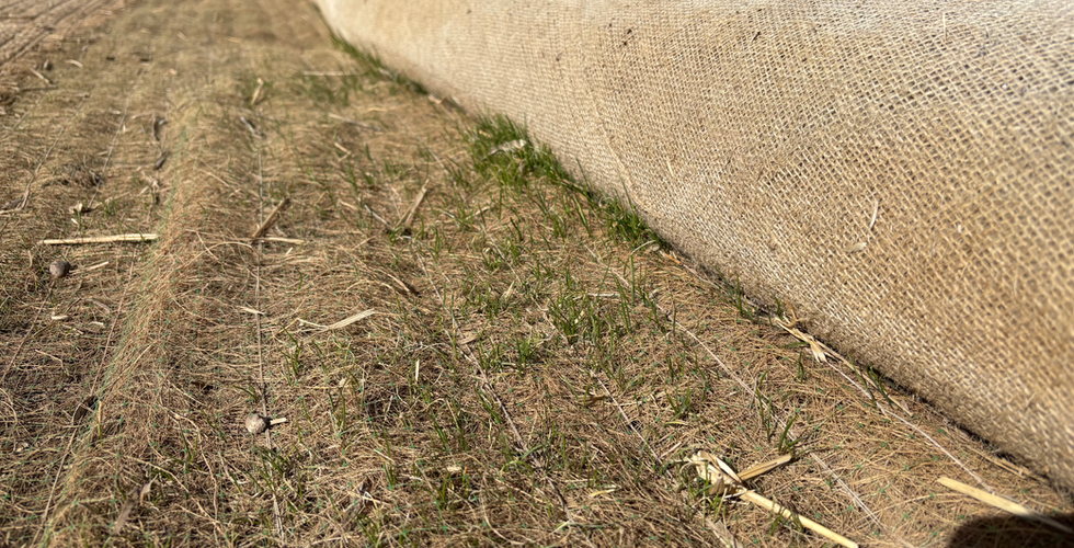 Burlap Straw Wattle