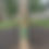 Thumbnail: Grass Seed Germination Erosion Control Blanket