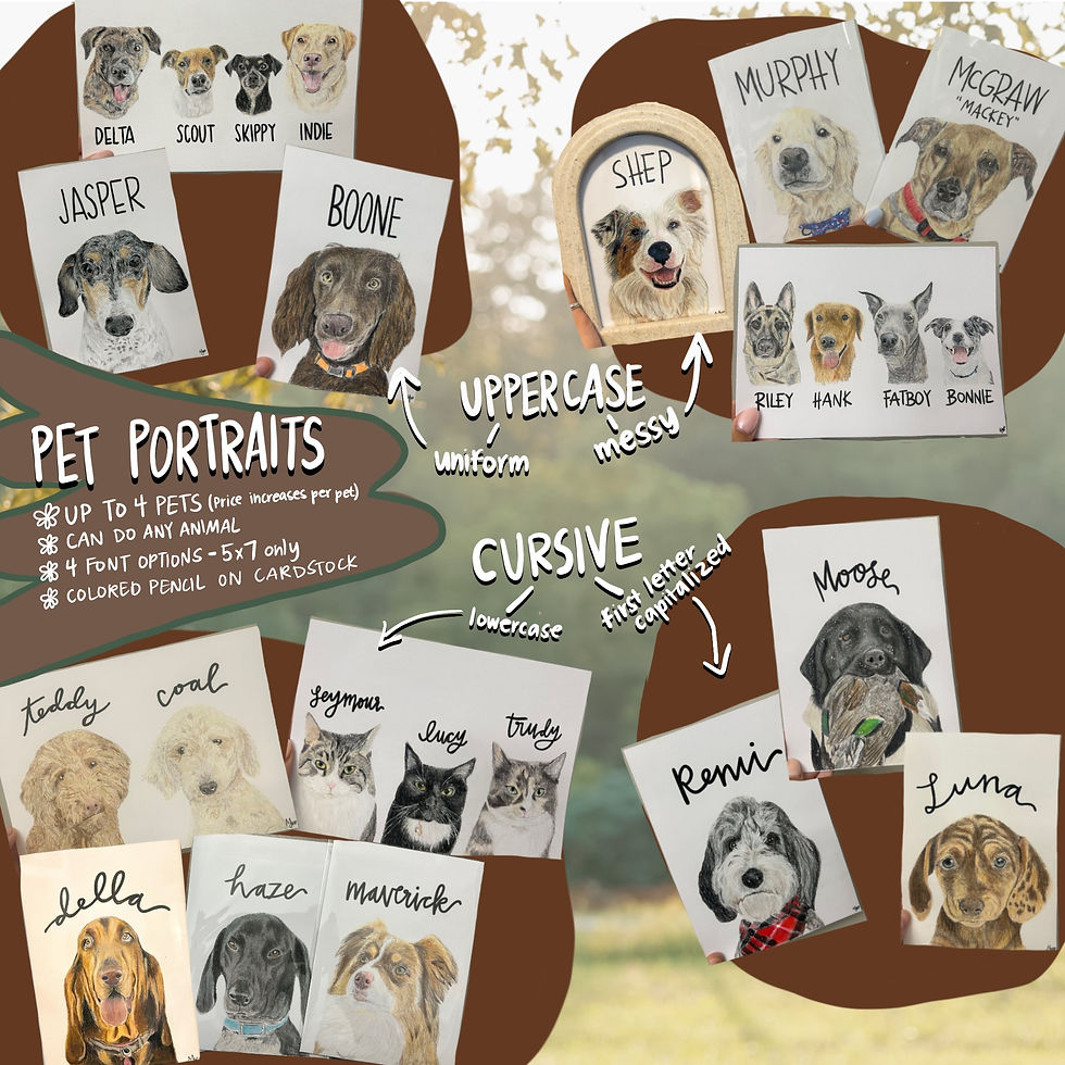 Pet Portrait Info