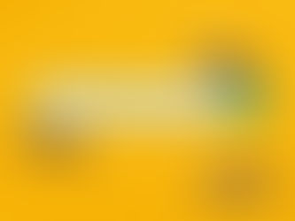 Where Do Bees Go in the Winter? …And Other Questions.