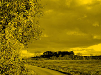 Eine in Gold getauchte Herbstlandschaft