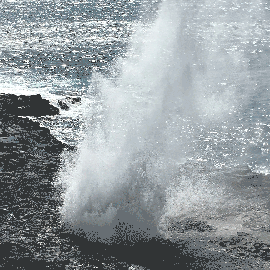 motion-01-Recovered-sm.gif