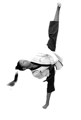 patada-taekwondo.png