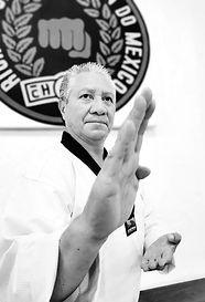 defensa-taekwondo-hansonal_edited.jpg