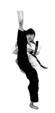 pateo-tkd.png