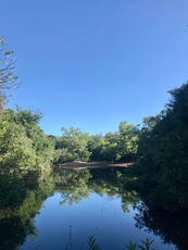 dia 16 - foto 13 fcpe.jpeg