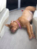 Belle naps