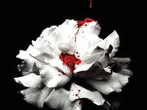 Capa do livro Desejo, com flor branca manchada de sangue sobre fundo preto e texto de Tracy Wolff.