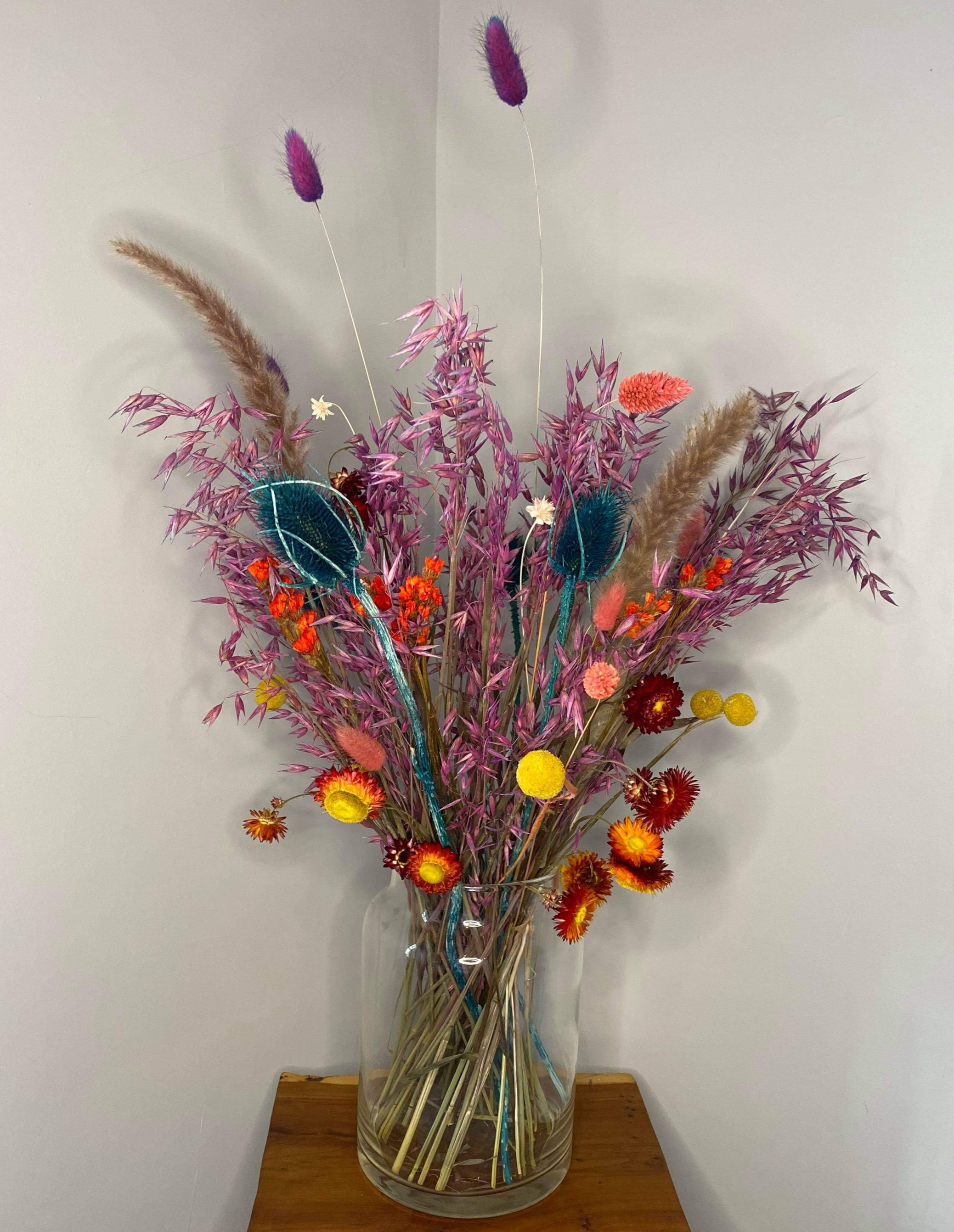  Letterbox flowers bright colours bundle