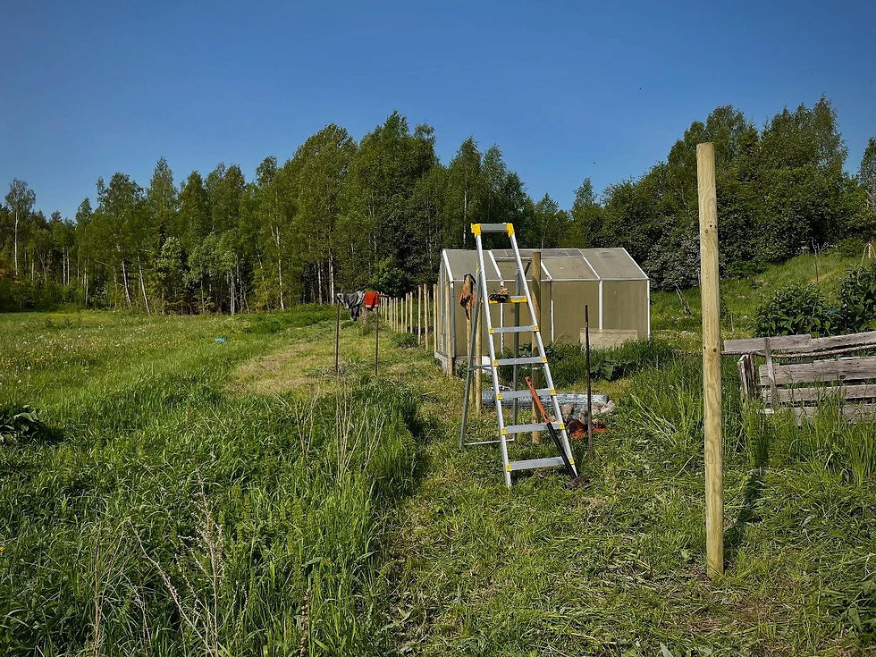 Arbetsdag på Lindsberg!