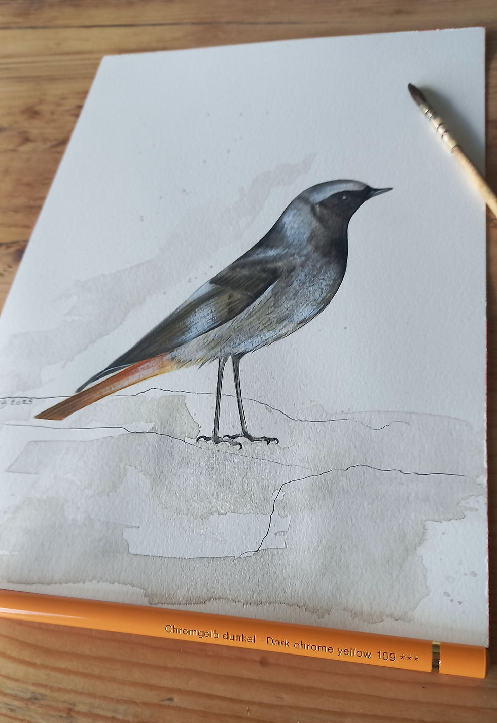 Miniature : Queue rousse