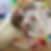 3EF9595B-A567-49E9-9FF5-3CF08F1A5AE7_Original.jpg